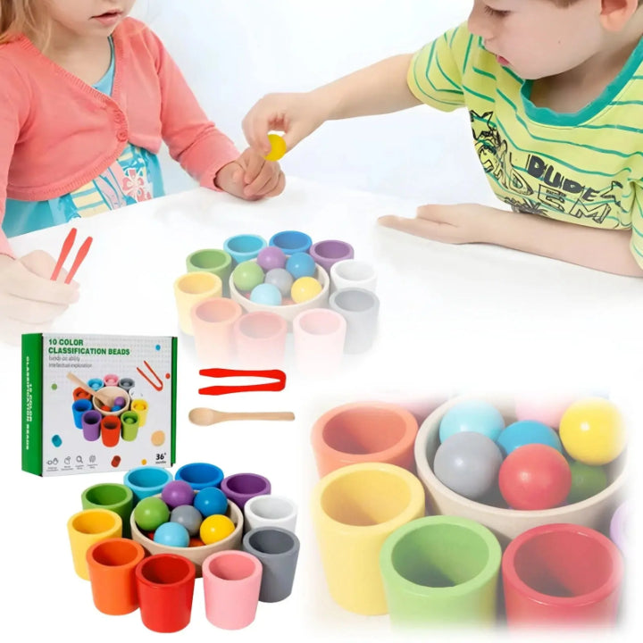 Color Matching Set Wooden Fine Motor Skills