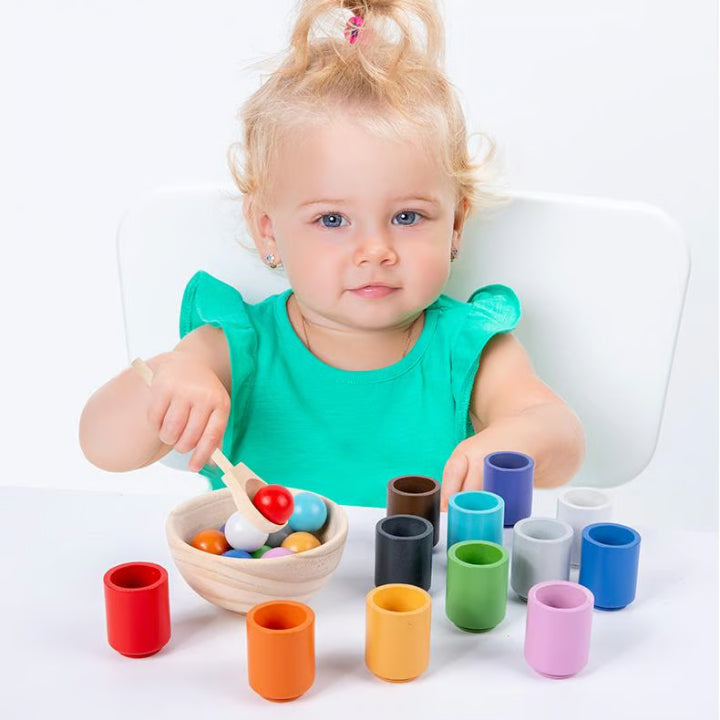 Color Matching Set Wooden Fine Motor Skills