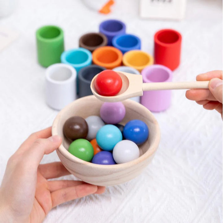 Color Matching Set Wooden Fine Motor Skills