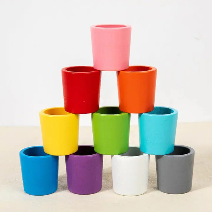 Color Matching Toy Natural Wood Set Of 23