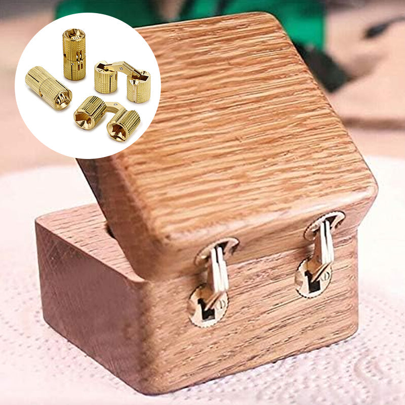 Concealed Hinges Recessed Invisible Brass 180 Degree
