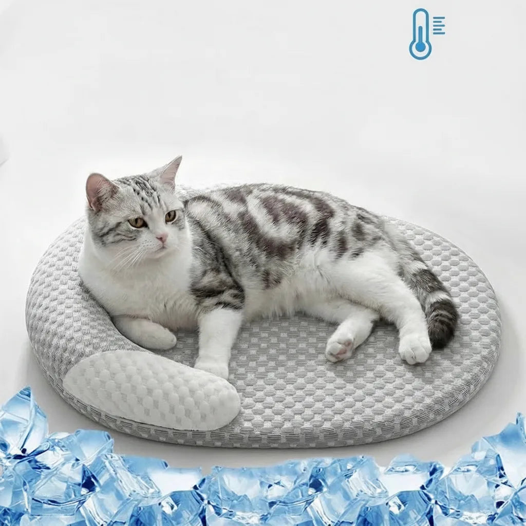 Cooling Pet Bed Ice Silk Honeycomb Raised Edge