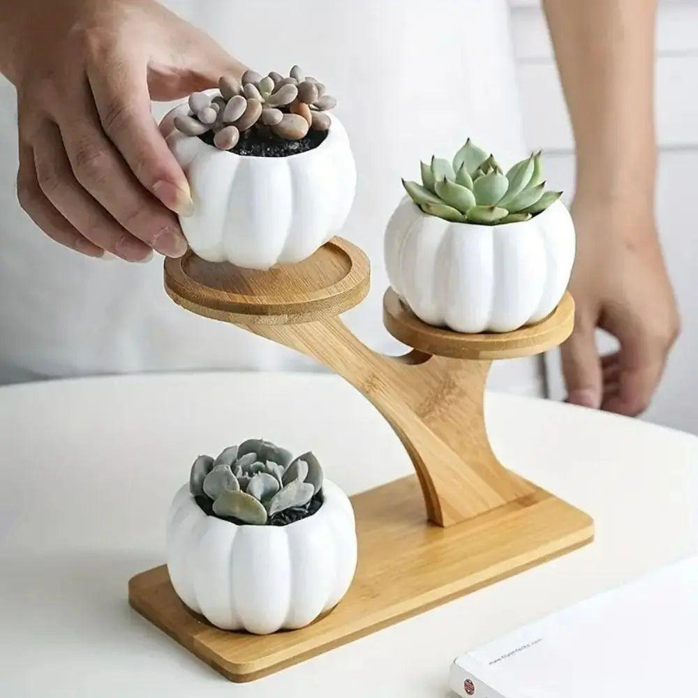 Desktop Plant Stand Bamboo Multi-Level Space-Saving
