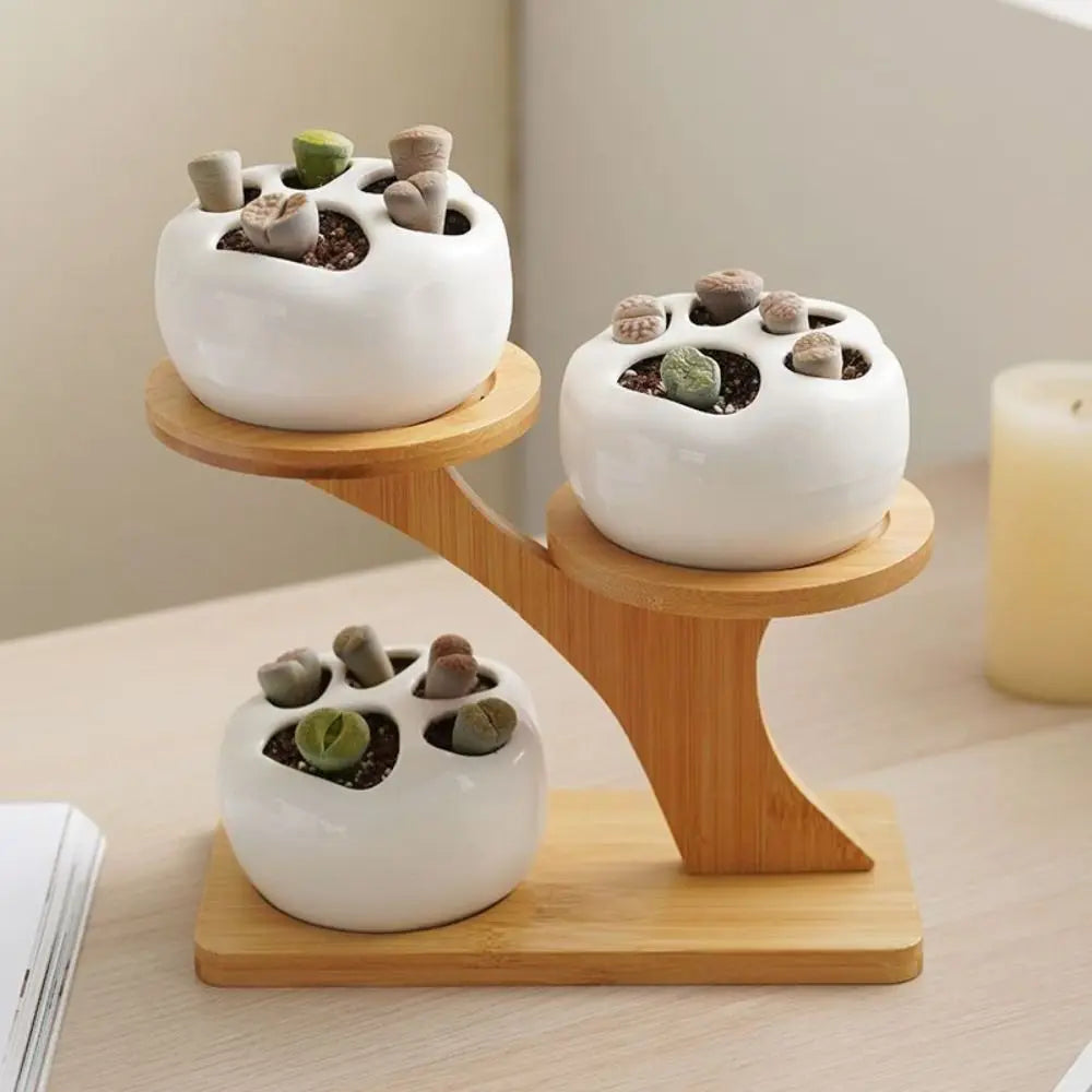 Desktop Plant Stand Bamboo Multi-Level Space-Saving