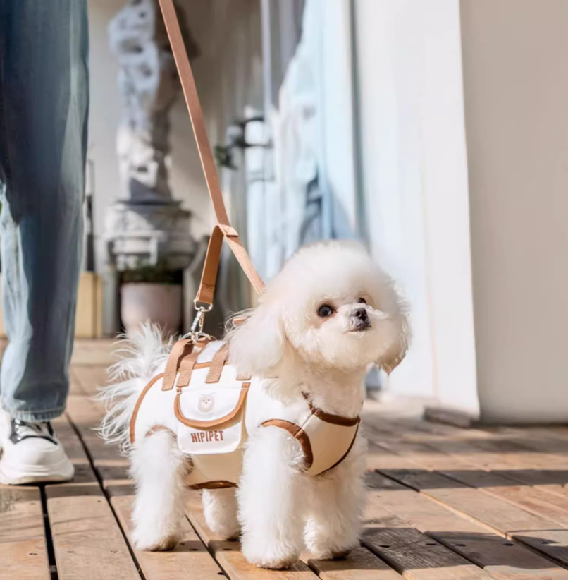 Dog Carrier Bag Spine-Friendly AirMesh & Padded Leg Support
