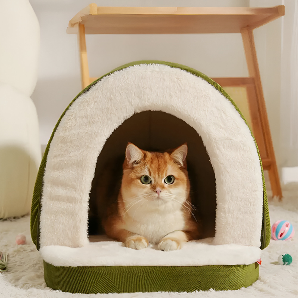 Dog & Cat Bed Convertible Cave-to-Flat Orthopedic Foam