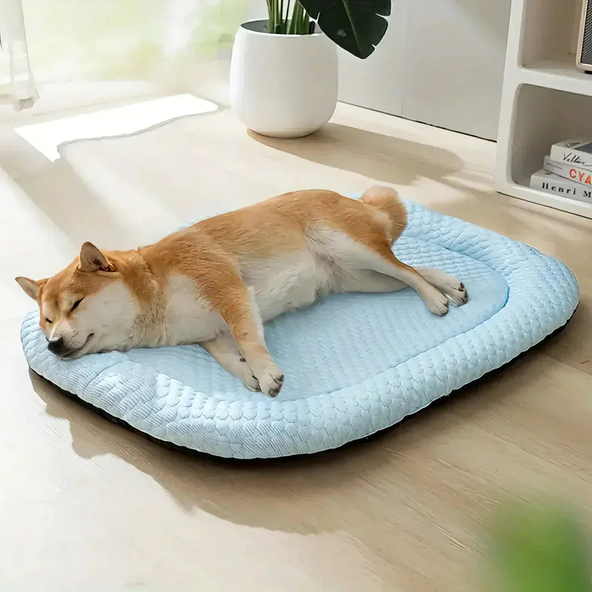 Dog Cooling Mat Temperature-Regulating Non-Slip & Moisture-Resistant