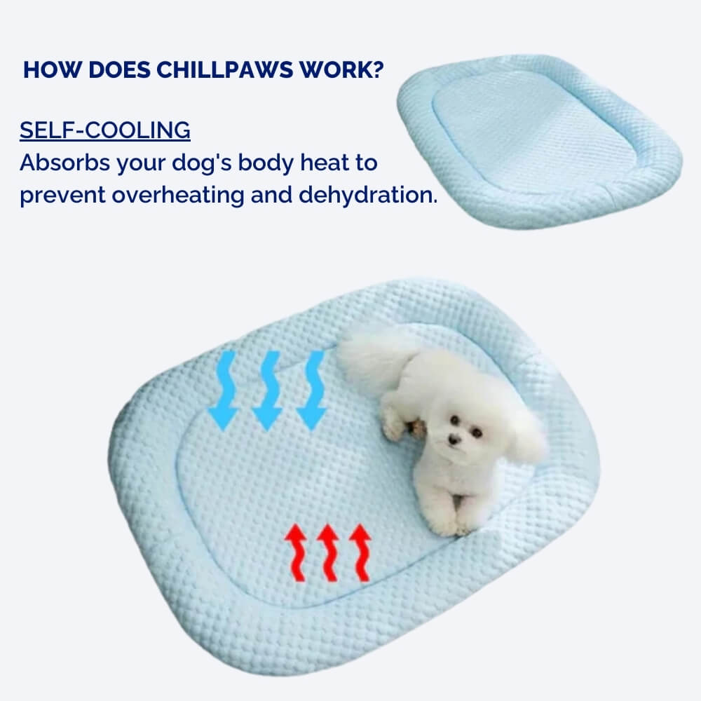 Dog Cooling Mat Temperature-Regulating Non-Slip & Moisture-Resistant
