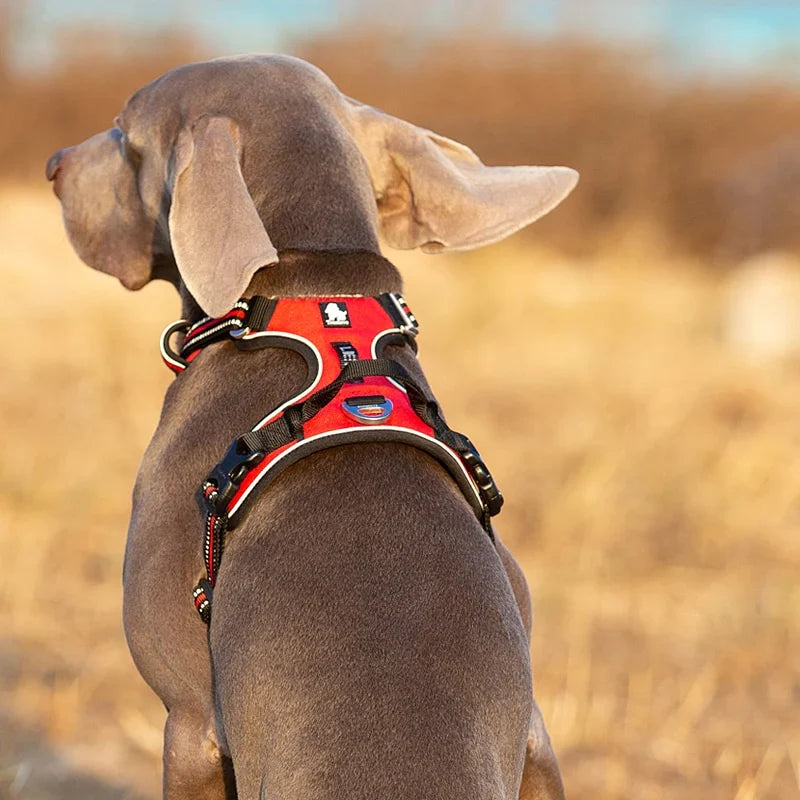Dog Harness Breathable Fabric Adjustable Straps One-Hand Release Buckles