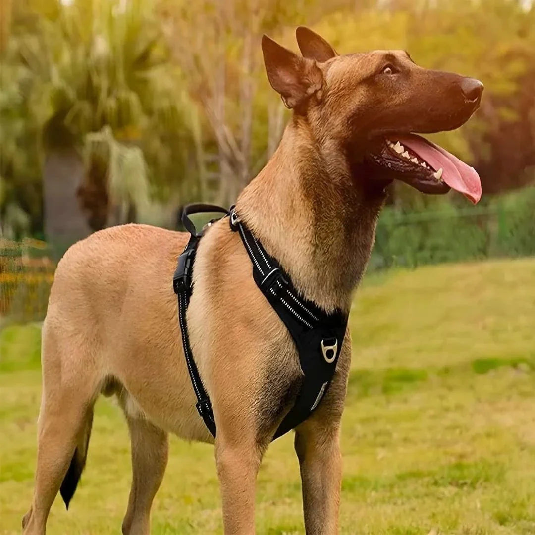 Dog Harness Breathable Fabric Adjustable Straps One-Hand Release Buckles