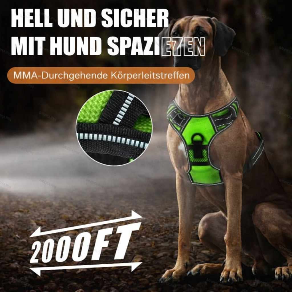 Dog Harness LED USB Rechargeable No-Pull Fit