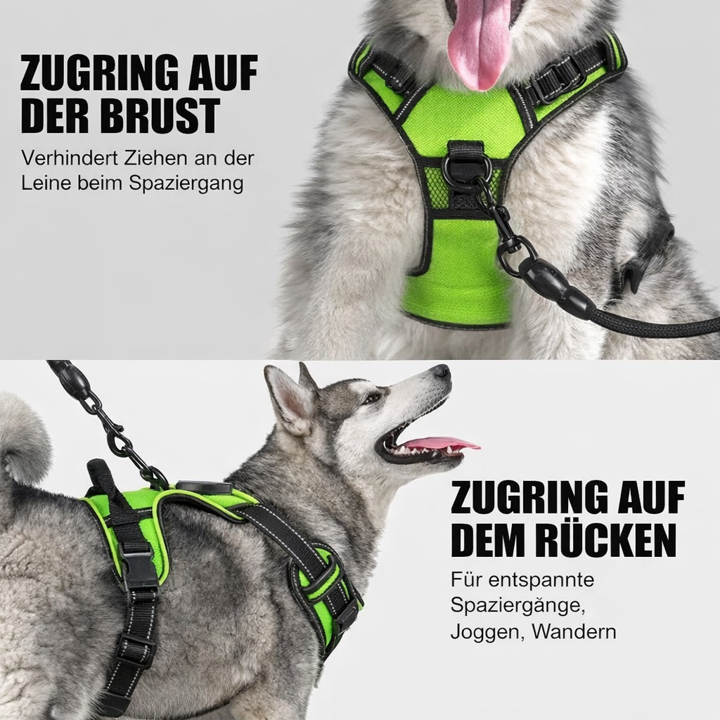 Dog Harness LED USB Rechargeable No-Pull Fit