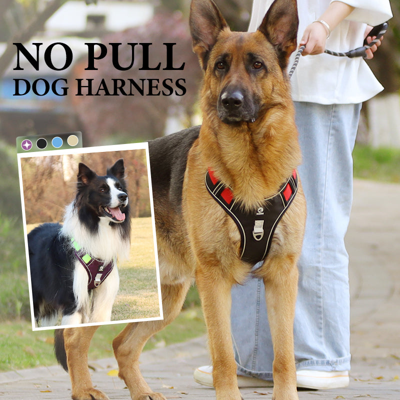 Dog Harness & Leash Anti-Pull Front-Clip LED Collar