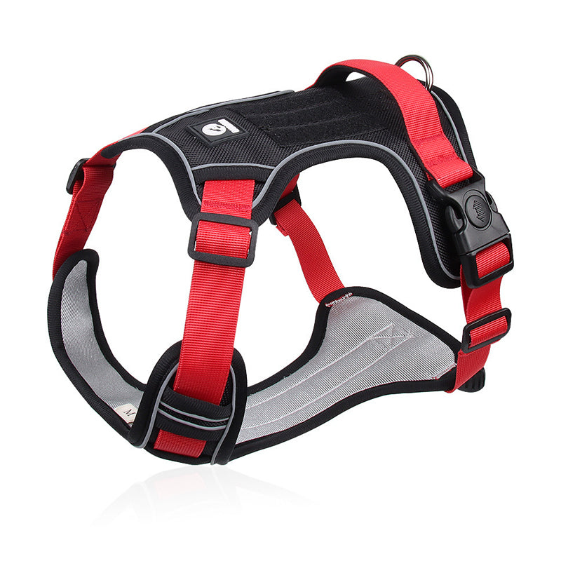 Dog Harness & Leash Anti-Pull Front-Clip LED Collar