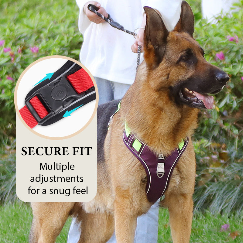 Dog Harness & Leash Anti-Pull Front-Clip LED Collar