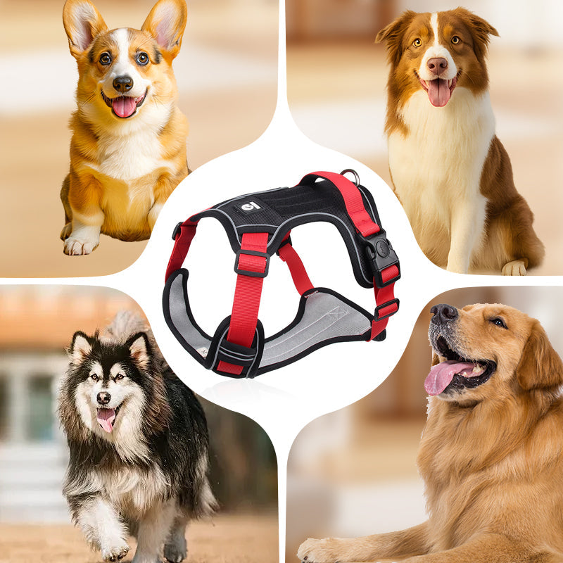 Dog Harness & Leash Anti-Pull Front-Clip LED Collar