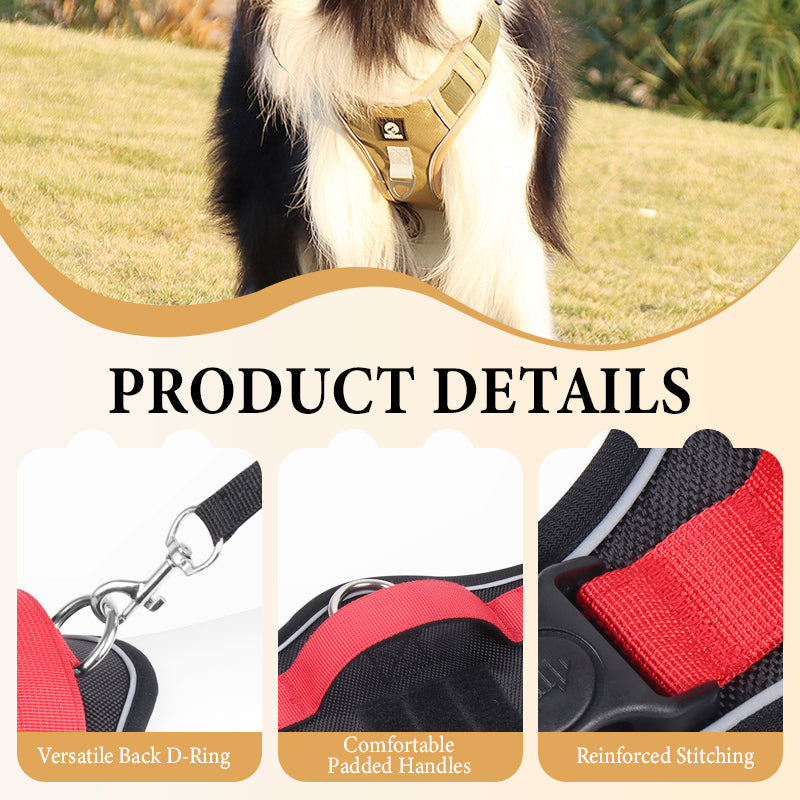 Dog Harness & Leash Anti-Pull Front-Clip LED Collar