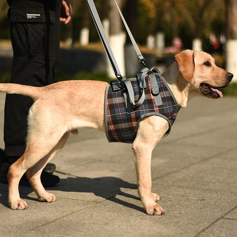 Dog Harness Orthopedic Support Adjustable & Breathable