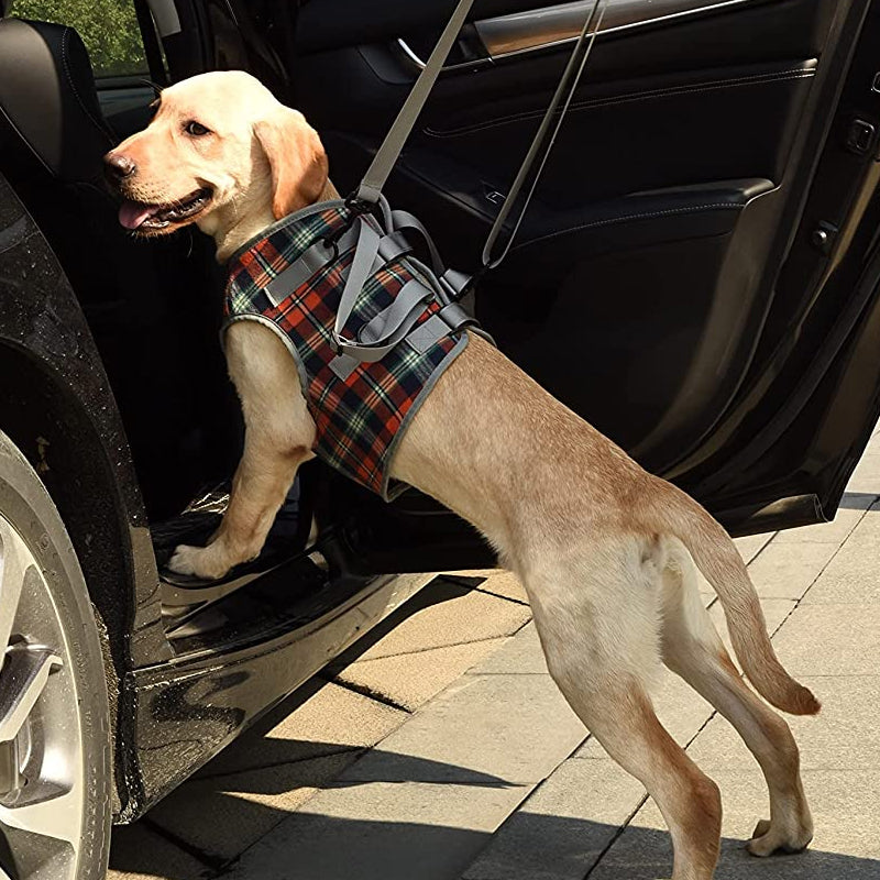 Dog Harness Orthopedic Support Adjustable & Breathable
