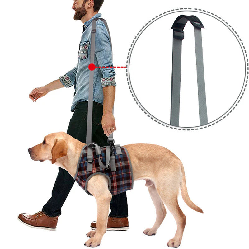 Dog Harness Orthopedic Support Adjustable & Breathable