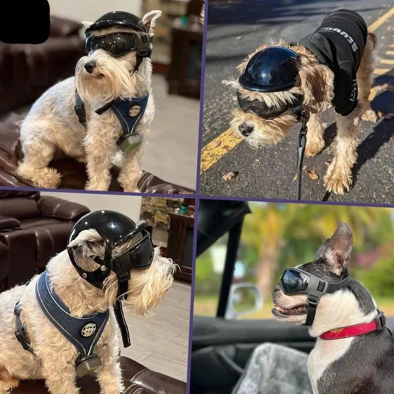 Dog Helmet & Goggles Adjustable Fit & Polycarbonate Lenses