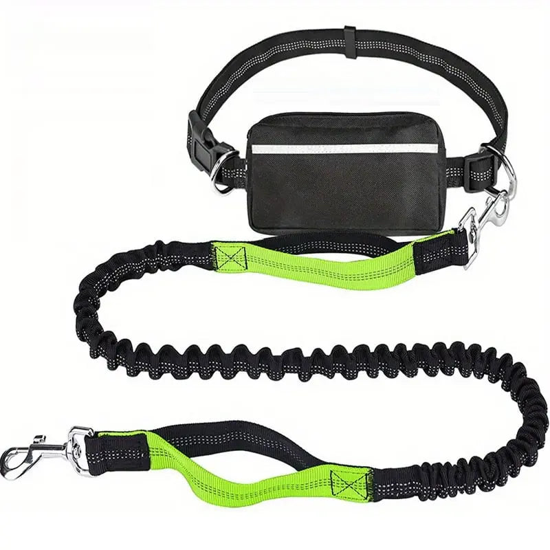 Dog Leash Hands-Free Shock-Absorbing Bungee & Zipper Pocket