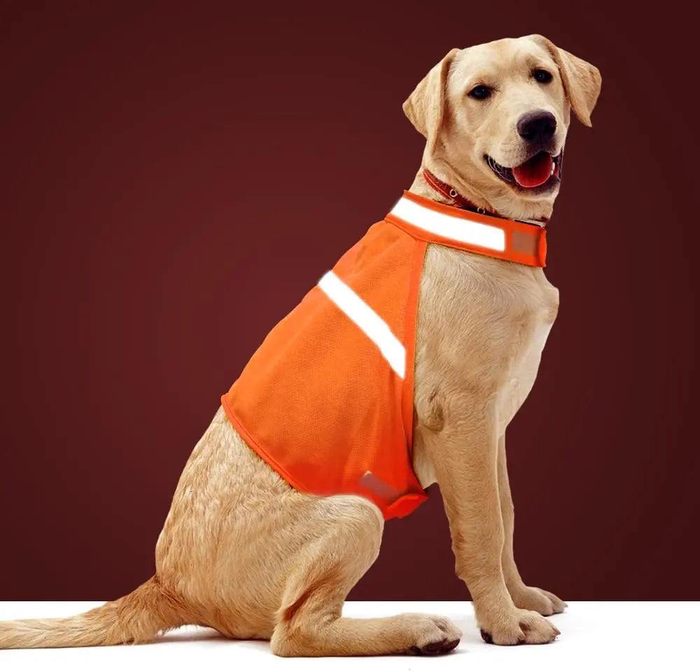 Dog Safety Vest High-Visibility Reflective Strips Adjustable Straps & Lightweight