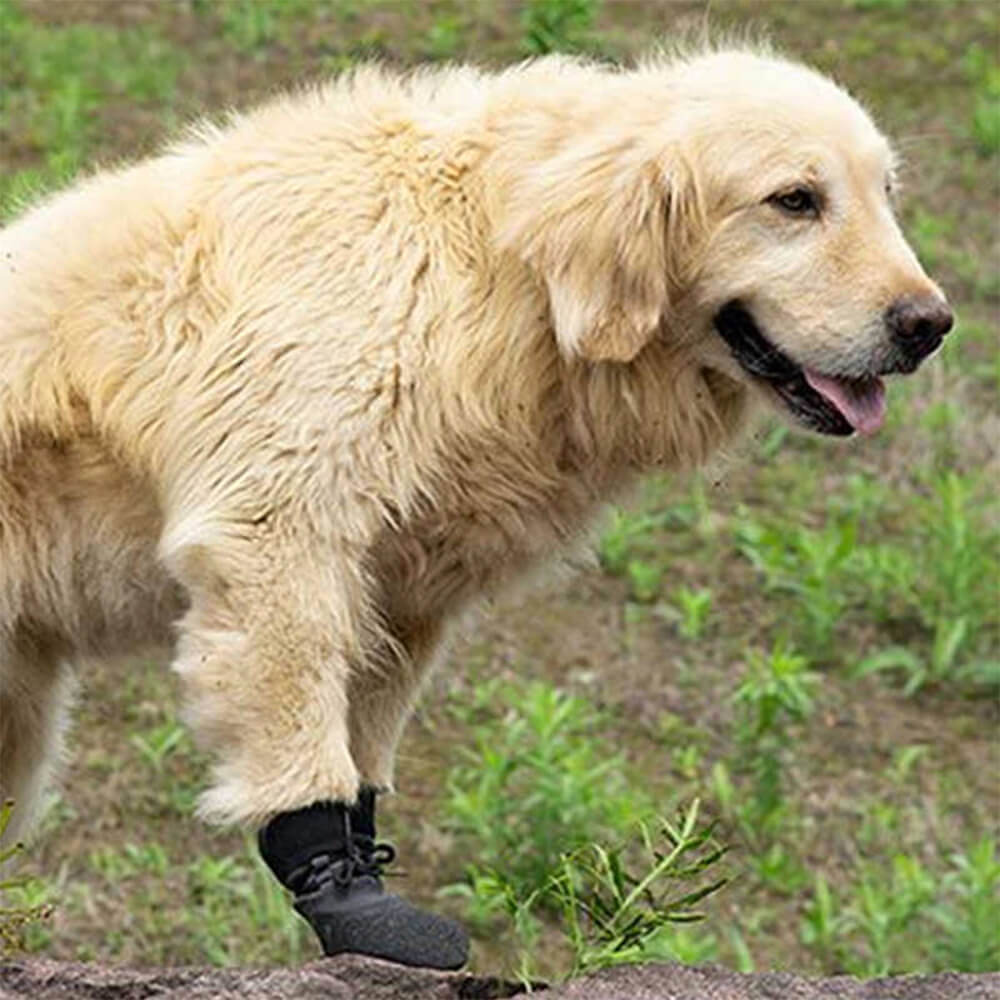 Dog Shoes Waterproof & Breathable Non-Slip Rubber Sole