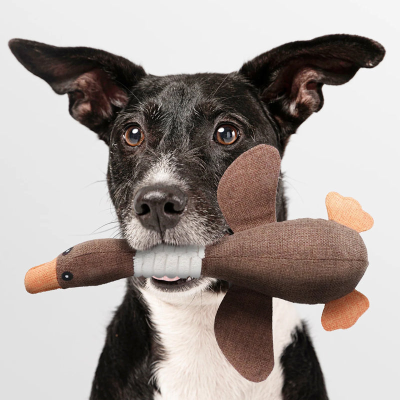 Dog Toy Duck Chew-Resistant Dental Health Organic & Non-Toxic
