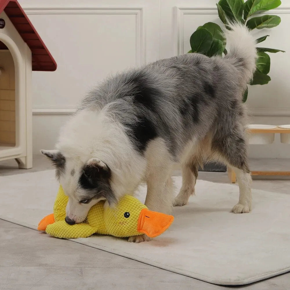 Dog Toy Hand-Sewn & Eco-Friendly Plush Squeaker