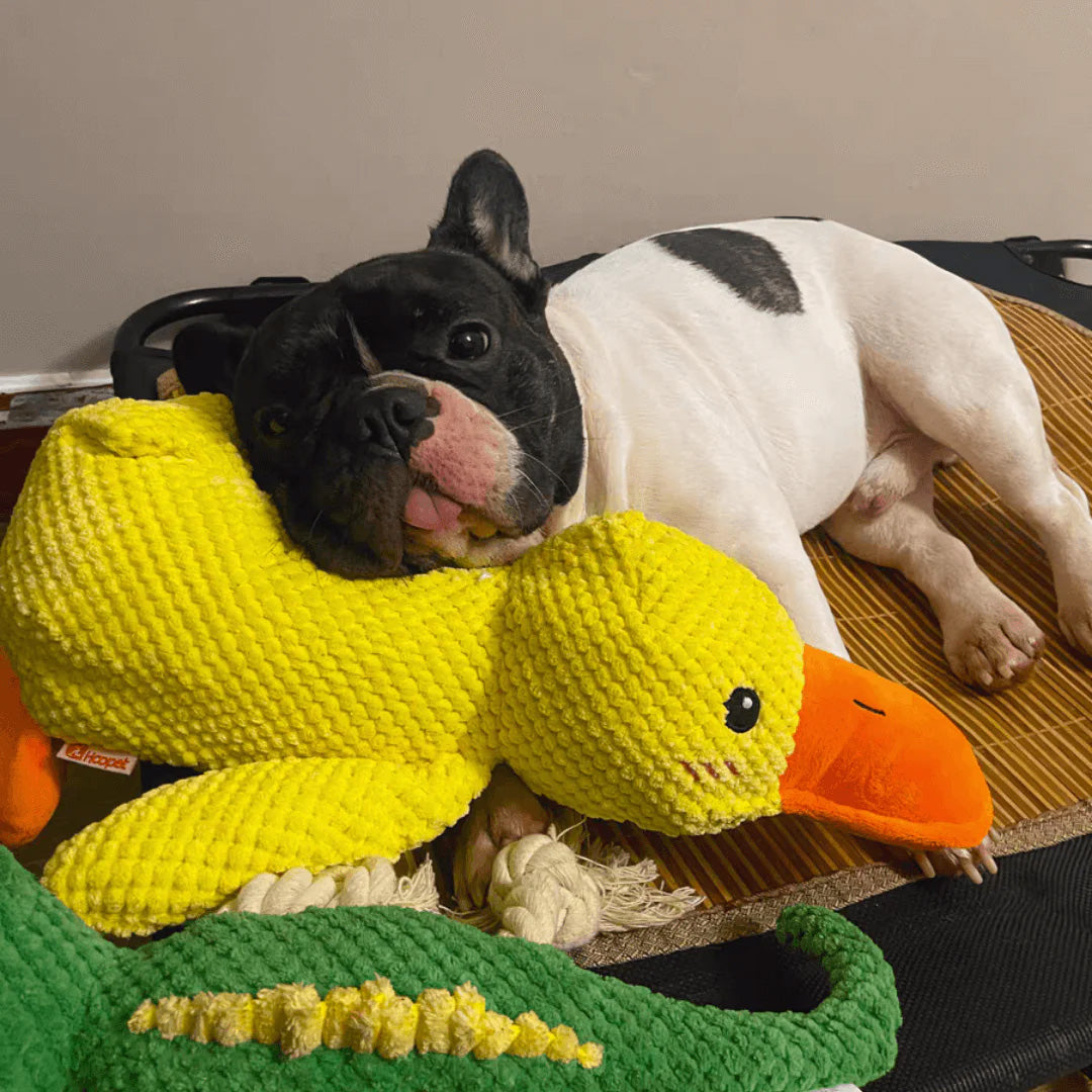 Dog Toy Hand-Sewn & Eco-Friendly Plush Squeaker