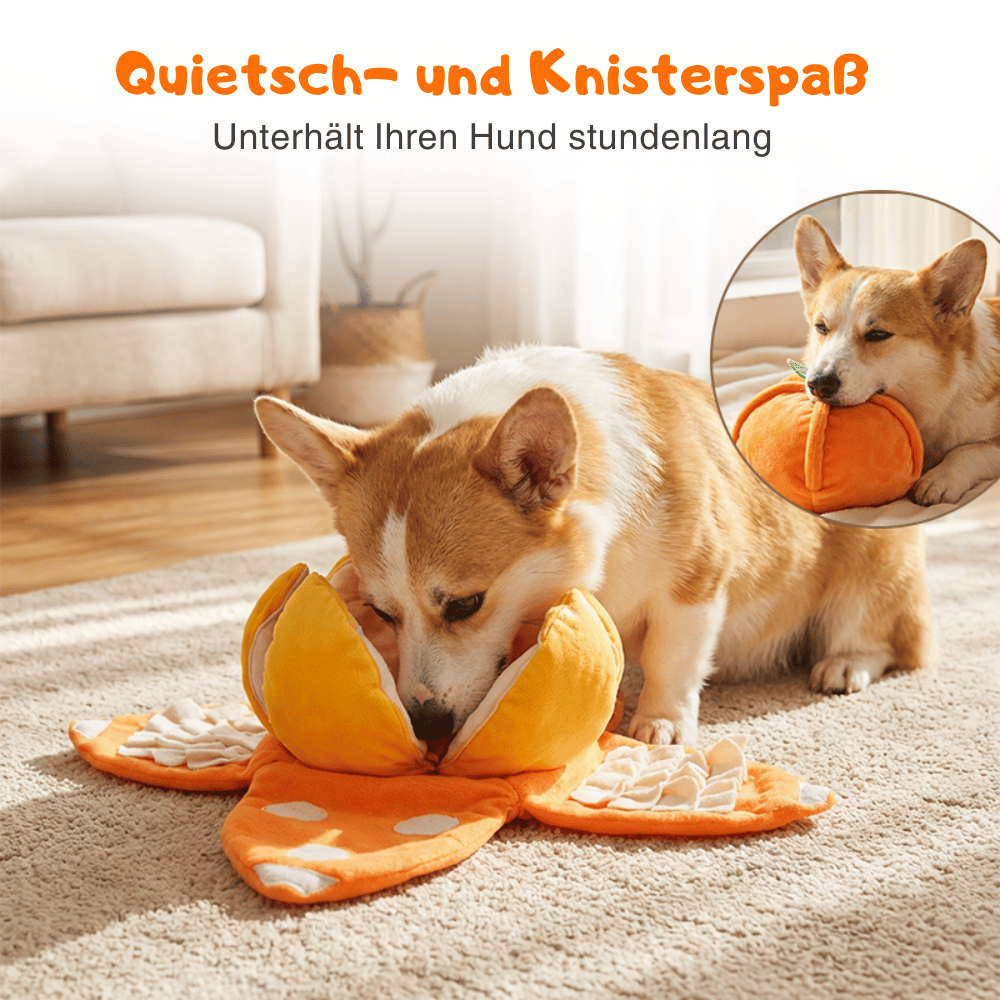 Dog Toy Interactive Treat Puzzle Plush Squeaker & Crinkle