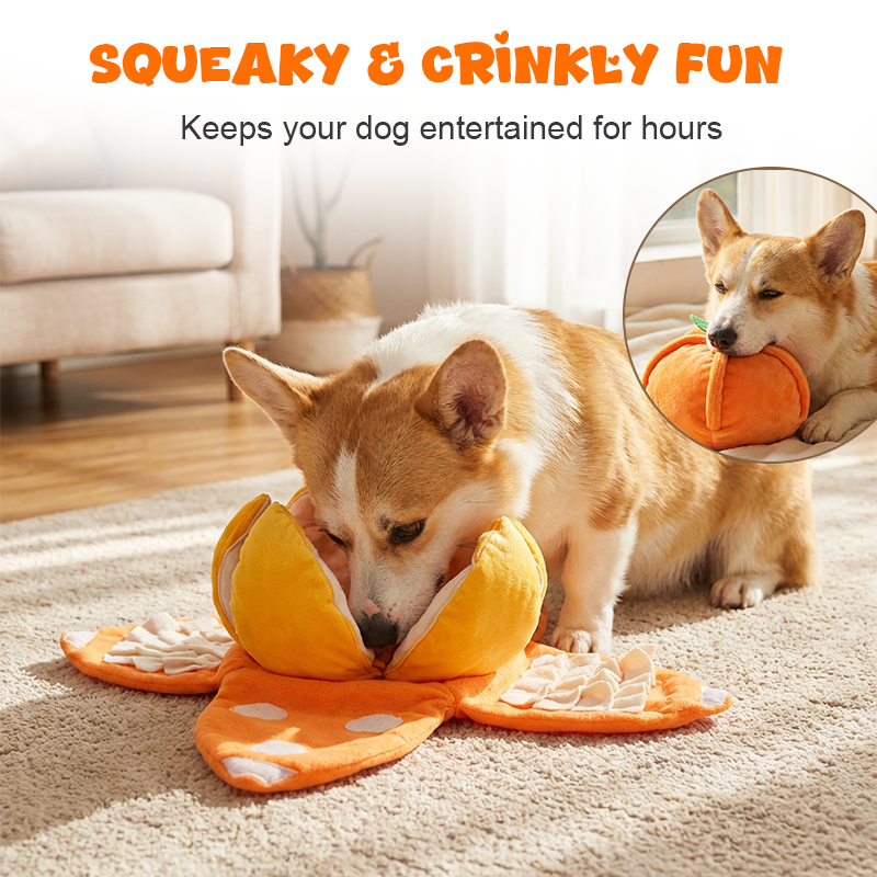 Dog Toy Interactive Treat Puzzle Plush Squeaker & Crinkle