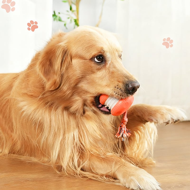 Dog Toy Motion-Activated & Two-Speed Chew-Resistant