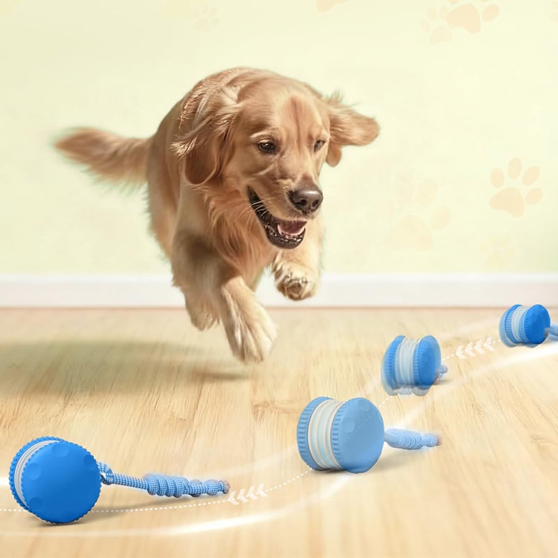 Dog Toy Motion-Activated & Two-Speed Chew-Resistant