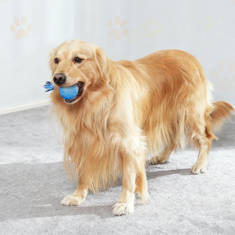 Dog Toy Motion-Activated & Two-Speed Chew-Resistant