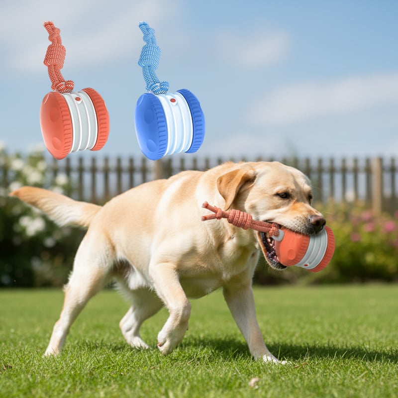 Dog Toy Motion-Activated & Two-Speed Chew-Resistant
