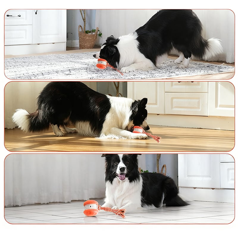 Dog Toy Motion-Activated & Two-Speed Chew-Resistant