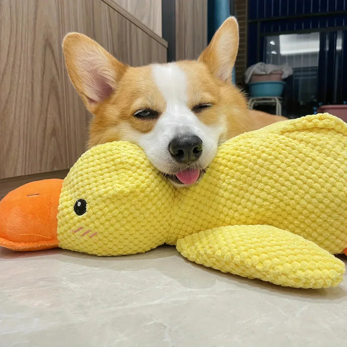 Dog Toy Plush Realistic Quacking Sound No Batteries