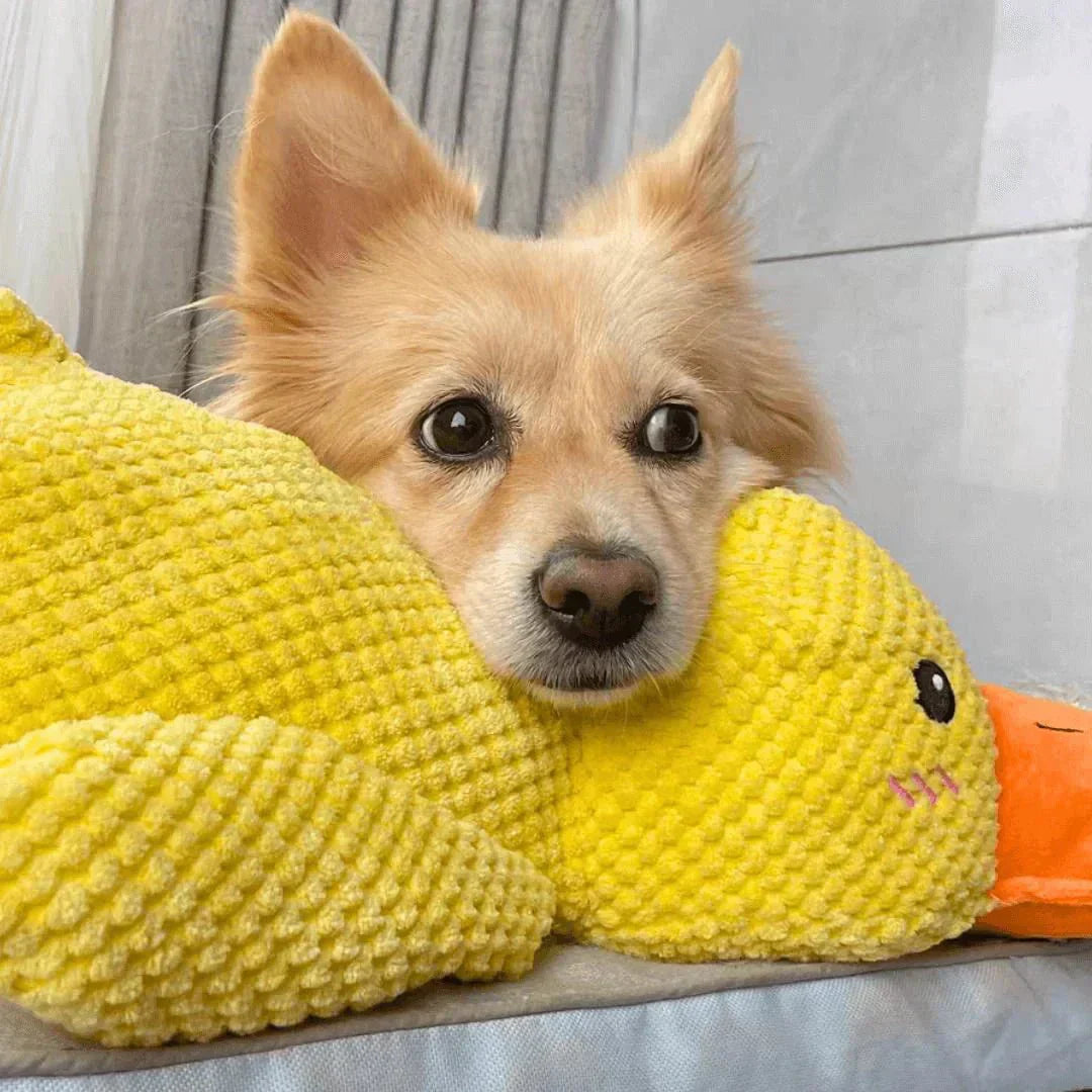 Dog Toy Plush Realistic Quacking Sound No Batteries