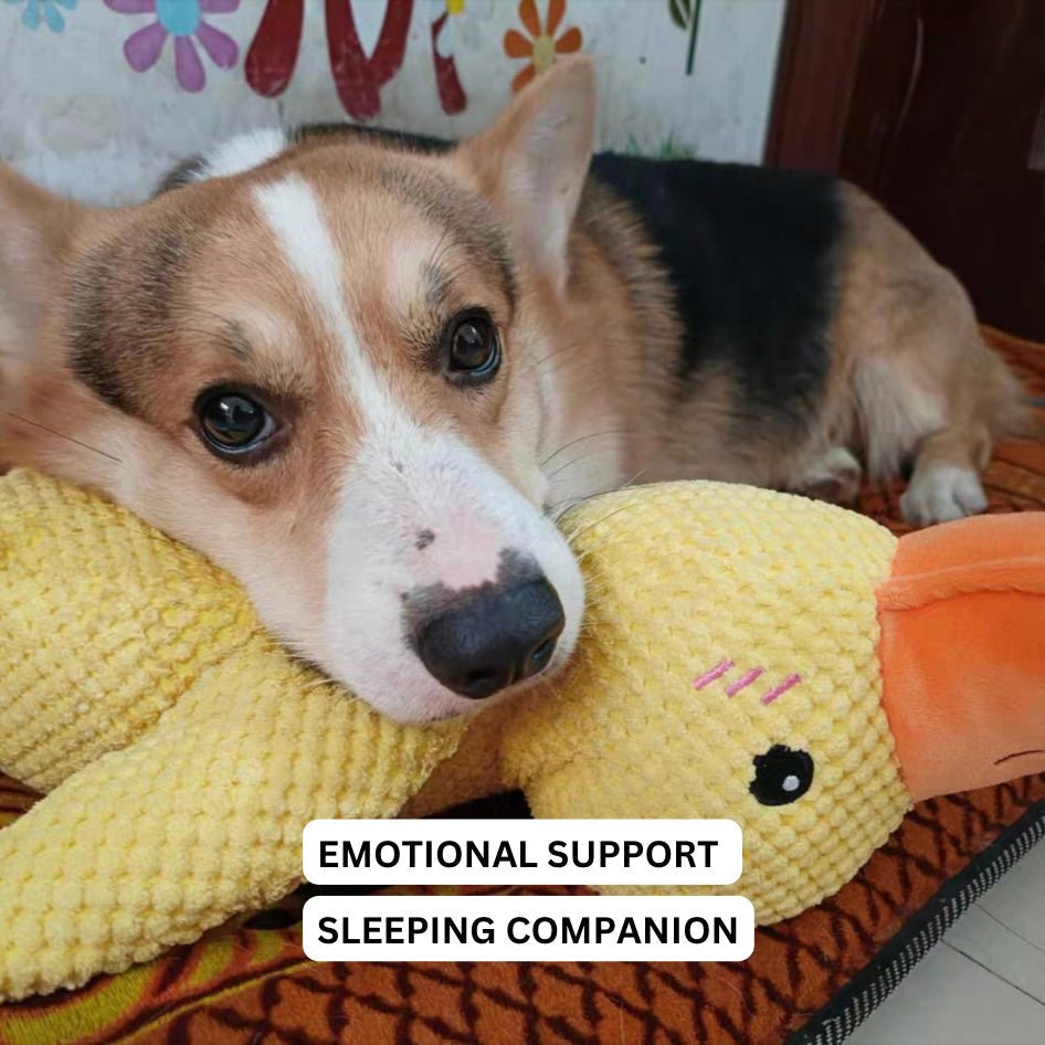 Dog Toy Plush Realistic Quacking Sound No Batteries