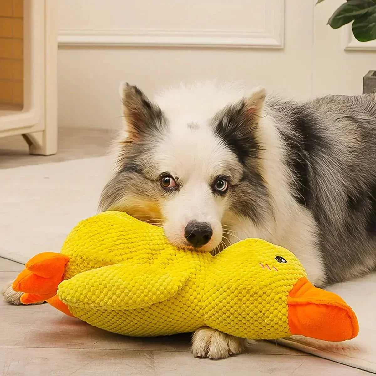 Dog Toy Plush Realistic Quacking Sound No Batteries
