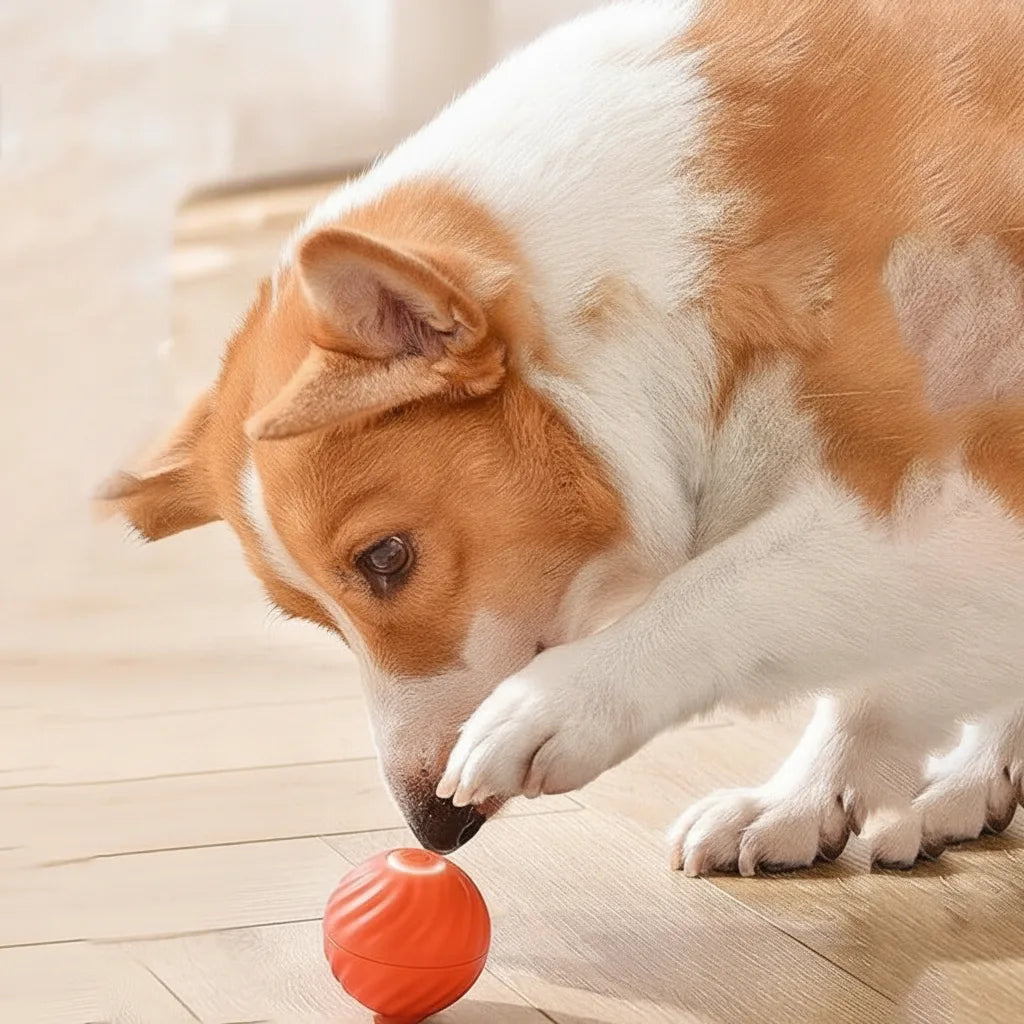 Dog Toy Self-Moving Sensors & LED Light