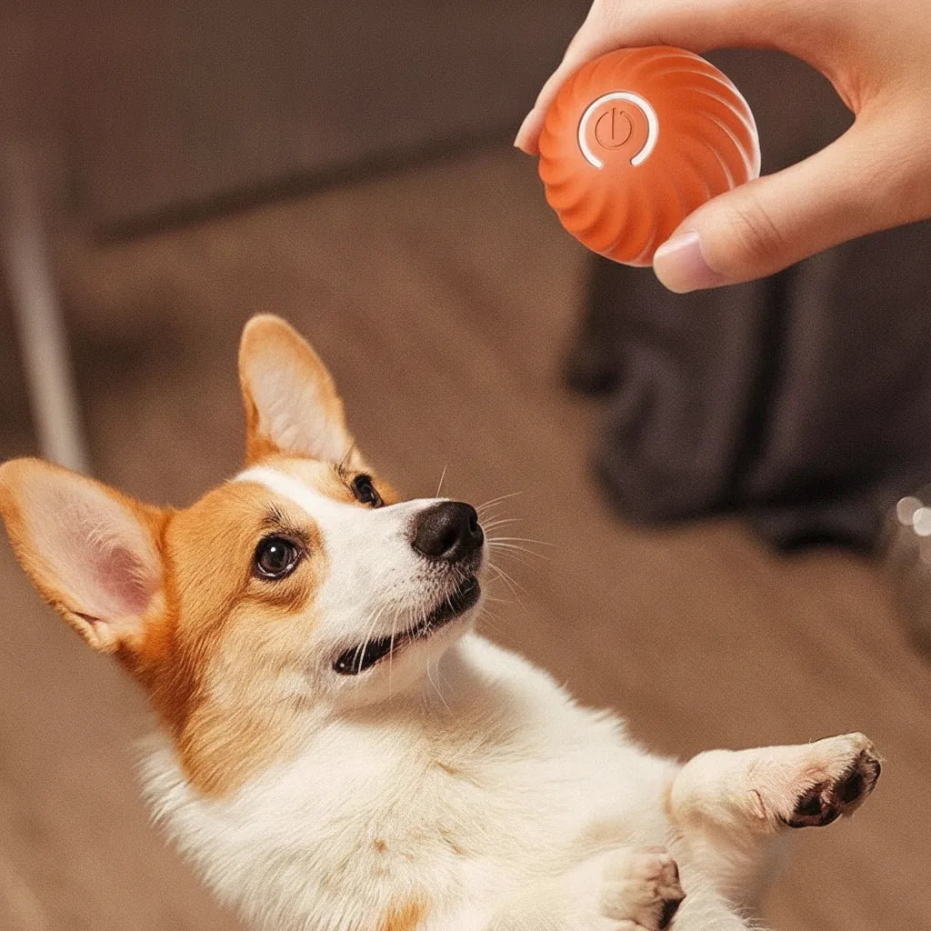 Dog Toy Self-Moving Sensors & LED Light