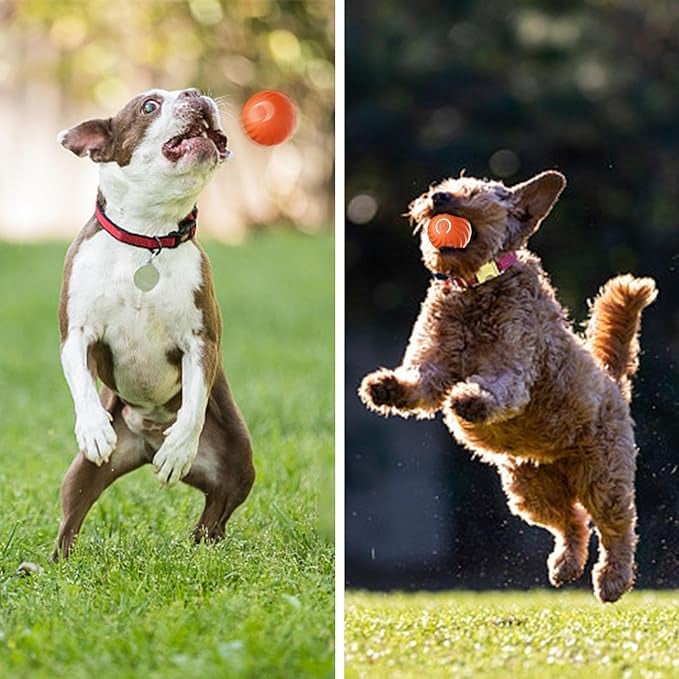 Dog Toy Self-Moving Sensors & LED Light