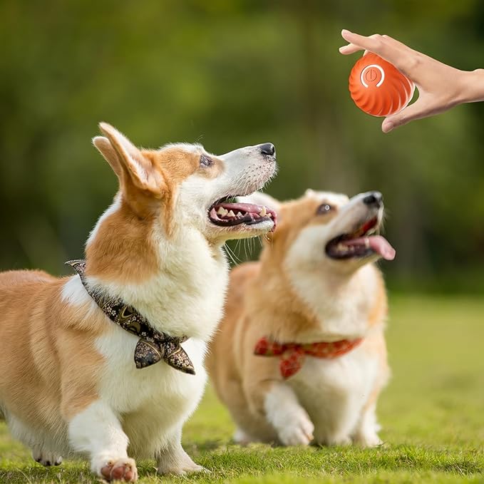 Dog Toy Self-Moving Sensors & LED Light