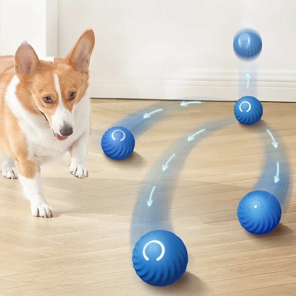 Dog Toy Self-Moving Sensors & LED Light