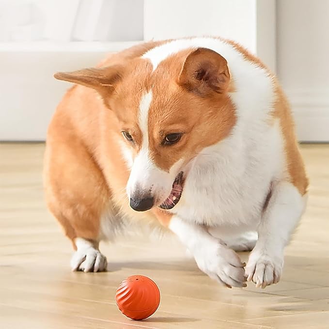 Dog Toy Self-Moving Sensors & LED Light