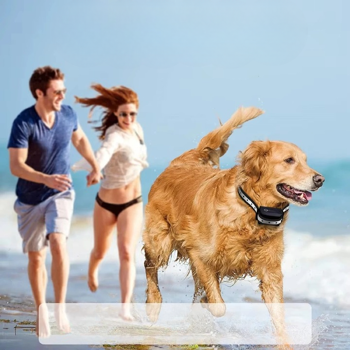 Dog Training Collar Remote 0.62 Mile Range Rechargeable