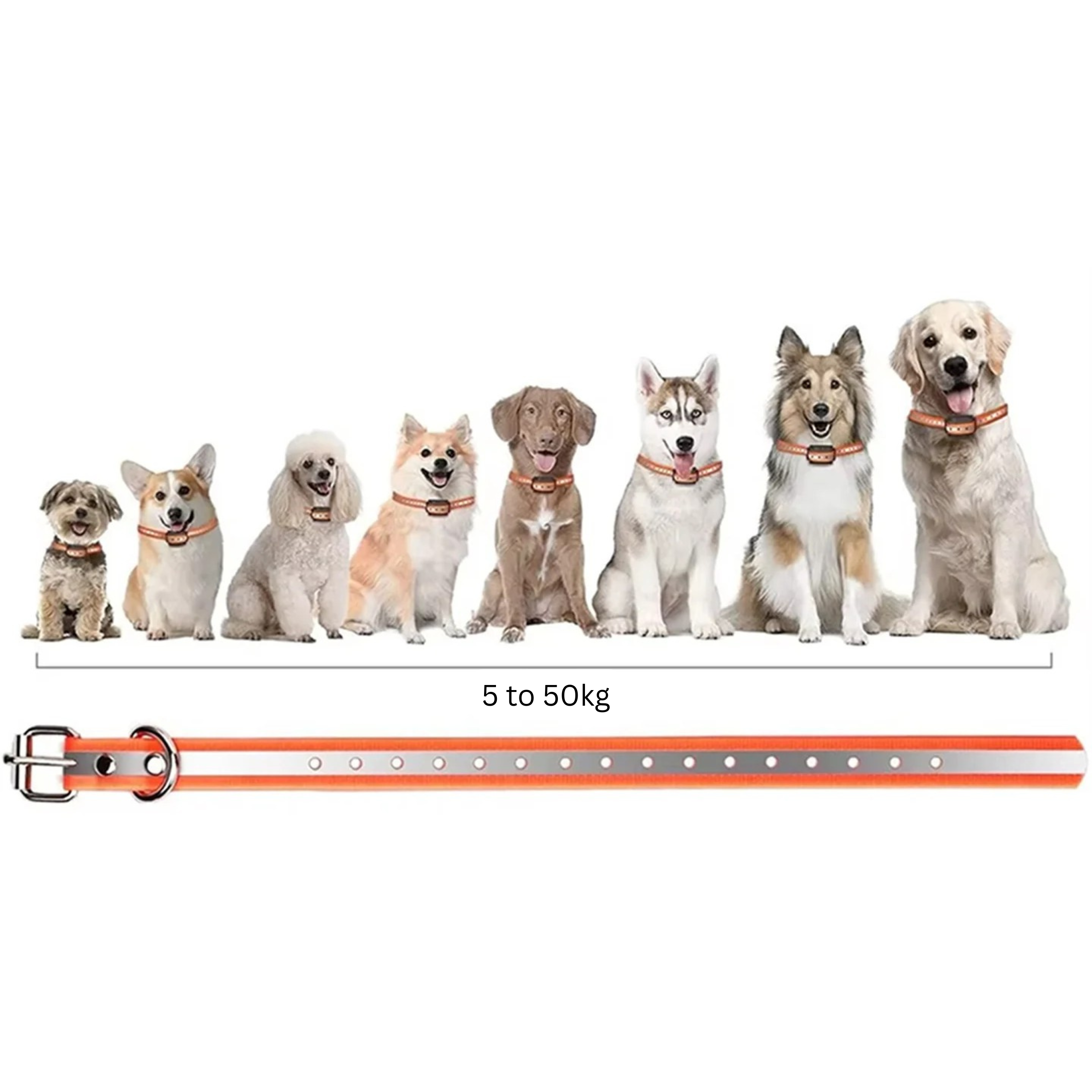 Dog Training Collar Remote 0.62 Mile Range Rechargeable